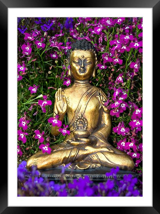 Buddha Framed Mounted Print by Wayne Molyneux