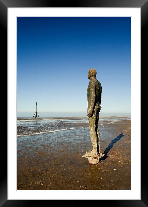 Frozen Stiff in Another Place Framed Mounted Print by Wayne Molyneux