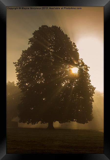  Early mist & Sunburst Framed Print by Wayne Molyneux