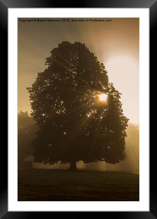  Early mist & Sunburst Framed Mounted Print by Wayne Molyneux