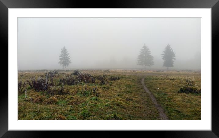 Wide angle shot of a trees covered in mist during foggy morning and a path formed in between green grass meadow field with nobody. winter weather. Framed Mounted Print by Arpan Bhatia