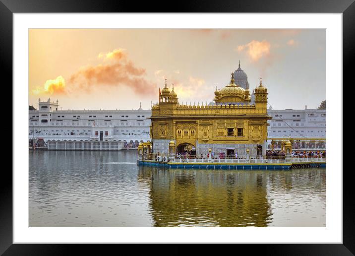 Amritsar, India: Wide angle shot of Harmindar Sahib, aka Golden Temple Amritsar. Religious place of the Sikhism. Sikh gurdwara in the holy pond during sunset sunrise Framed Mounted Print by Arpan Bhatia