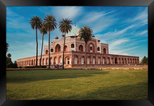 Humayun tomb behind palm tree and dramatic blue sk Framed Print by Arpan Bhatia