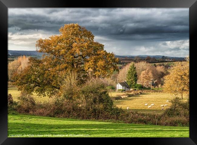 A Quintessential English Countryside Scene Framed Print by Adele Loney