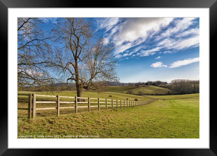 Herefordshire Countryside under a blue sky Framed Mounted Print by Adele Loney