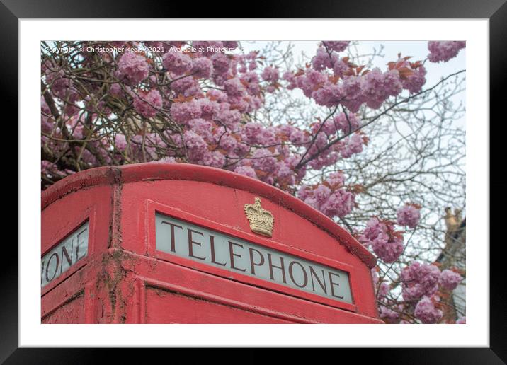 Blossom and telephone box Framed Mounted Print by Christopher Keeley