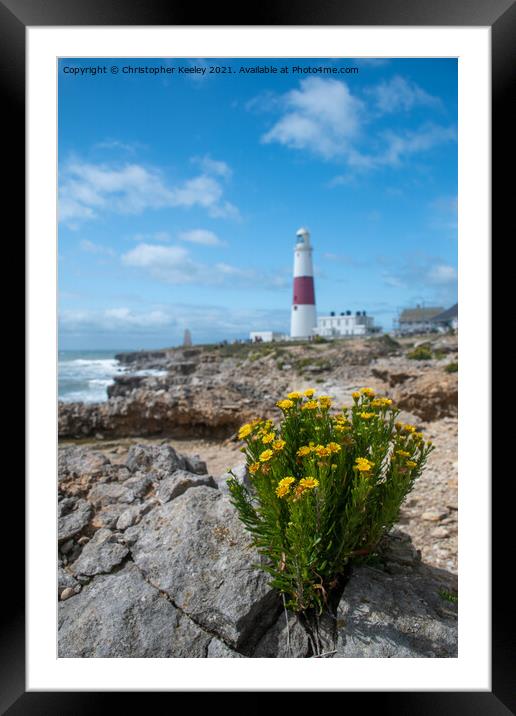 Flowers at Portland Bill Framed Mounted Print by Christopher Keeley