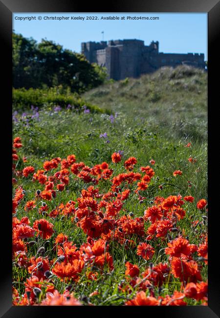 Red poppies on Bamburgh beach Framed Print by Christopher Keeley