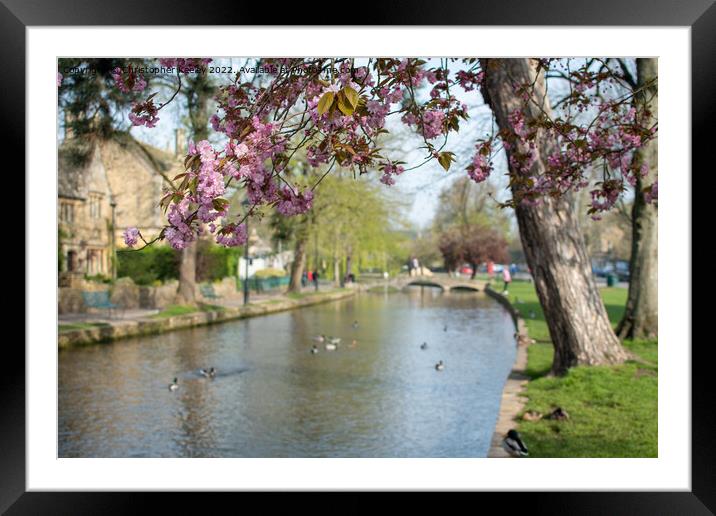 Spring in Cotswolds village Bourton-on-the-Water Framed Mounted Print by Christopher Keeley