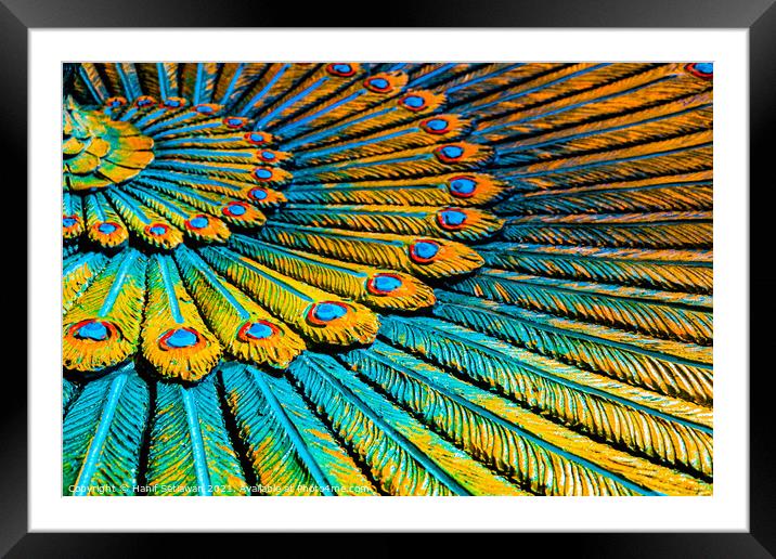 Full frame peacock feather wreath, Hinduist art. Framed Mounted Print by Hanif Setiawan