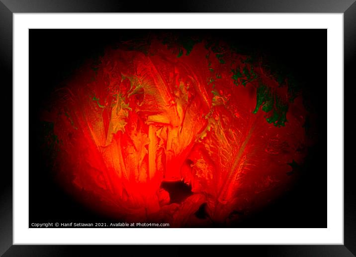 Abstract shapes from lettuce leaves, edit digital. Framed Mounted Print by Hanif Setiawan