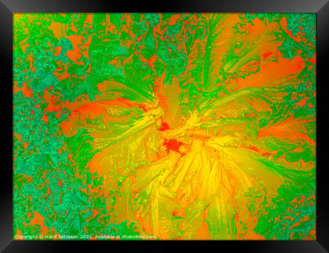 Abstract shapes from lettuce leaves, edit digital. Framed Print by Hanif Setiawan