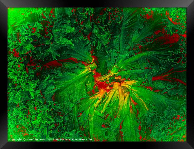 Abstract shapes from lettuce leaves, edit digital. Framed Print by Hanif Setiawan