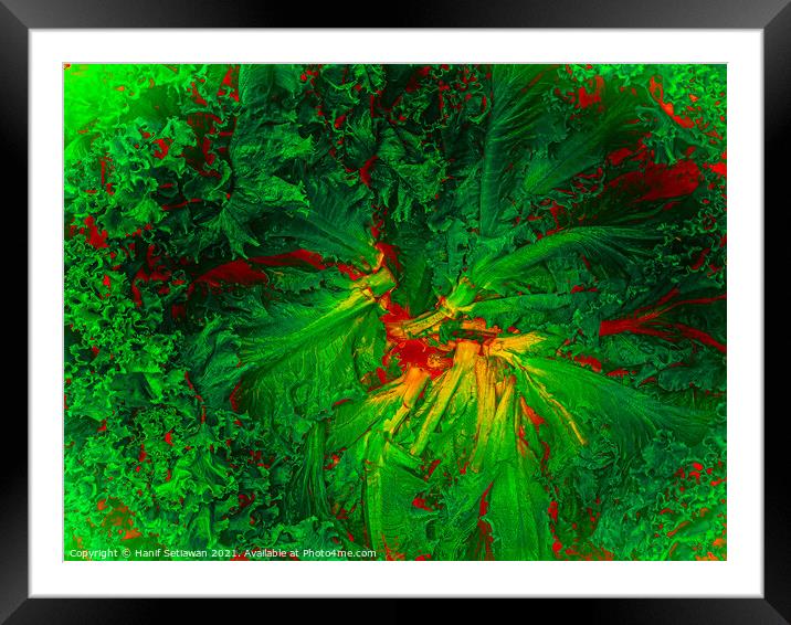 Abstract shapes from lettuce leaves, edit digital. Framed Mounted Print by Hanif Setiawan