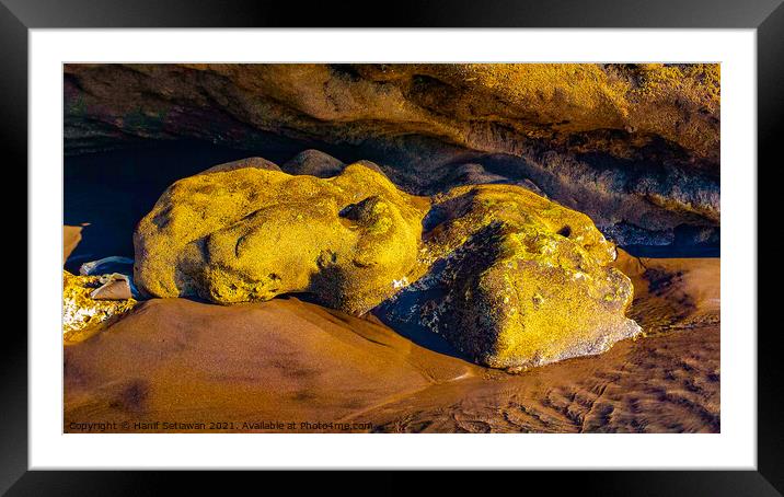 Frog stone sculpture art by natural water erosion Framed Mounted Print by Hanif Setiawan