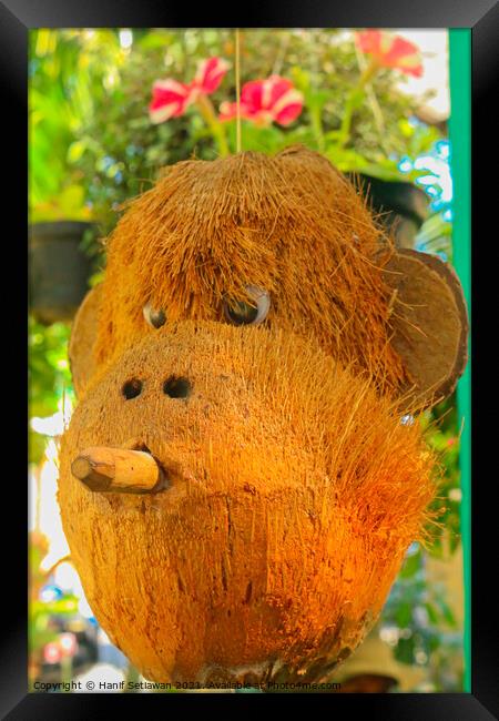 Cigar smoking monkey made from coconut front view Framed Print by Hanif Setiawan