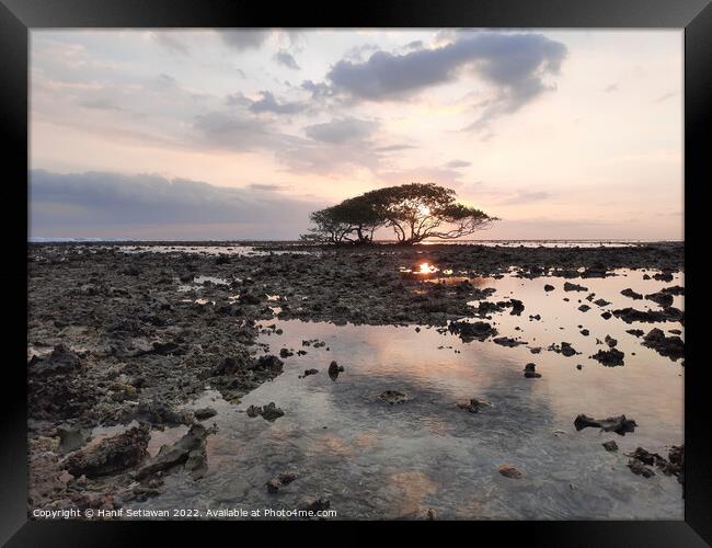 Single tree at Gili Trawangan beach Framed Print by Hanif Setiawan