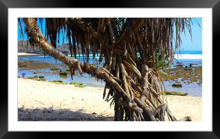 Tree trunks at Watu Karung sand beach Framed Mounted Print by Hanif Setiawan