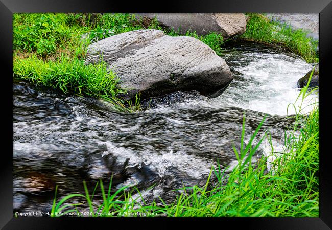 Wild creek with stones and grass 2 Framed Print by Hanif Setiawan