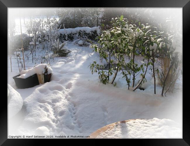 Fresh snow with deep foot prints in sunny garden Framed Print by Hanif Setiawan
