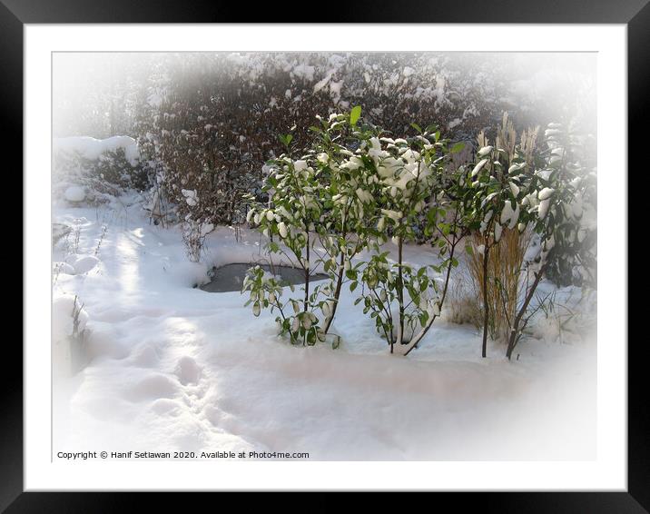 Fresh snow with deep foot prints in sunny garden Framed Mounted Print by Hanif Setiawan