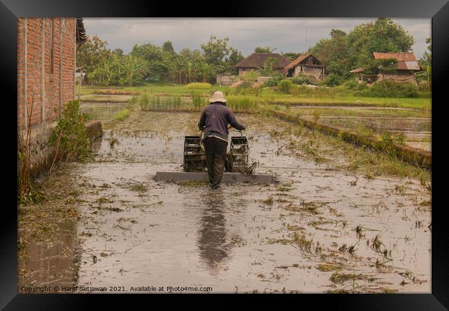 A man plows a village rice field in water on Java Framed Print by Hanif Setiawan