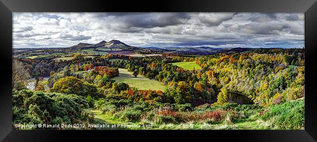 Autum on Tweed Framed Print by Ranald Dods