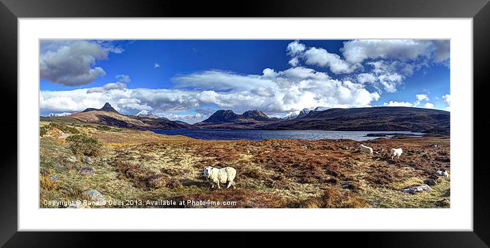 Inbhir Pollaidh Framed Mounted Print by Ranald Dods