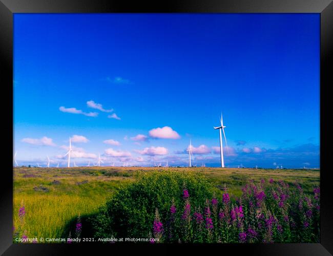Outdoor field with wind farms  Framed Print by Paddy 