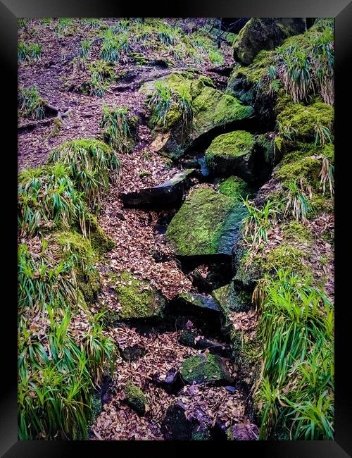 Fallen Rocks Framed Print by Paddy 