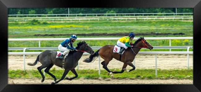 Horse race Framed Print by Mikhail Pogosov