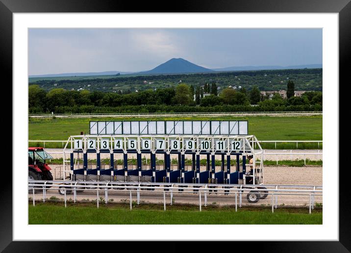 Before horse racing in Pyatigorsk Framed Mounted Print by Mikhail Pogosov