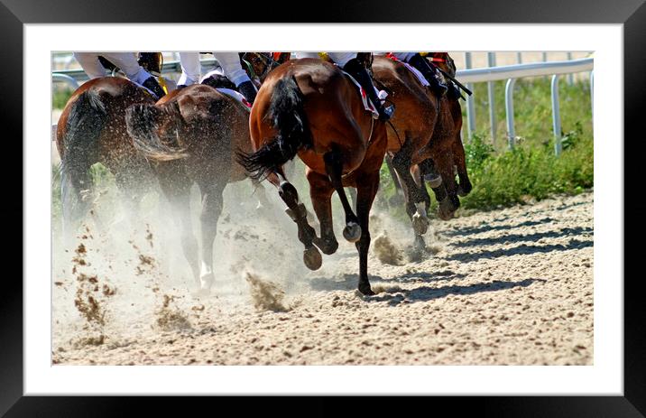 Horse race close-up. Framed Mounted Print by Mikhail Pogosov