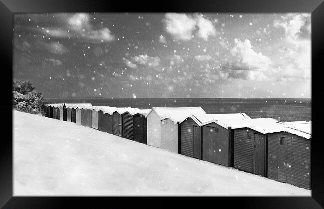 Pretty Beach huts in the snow at Frinton  Framed Print by Paula Tracy
