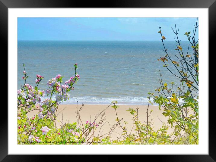 Beautiful blossom by the sea Framed Mounted Print by Paula Tracy