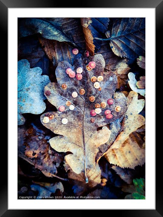 Autumn leaf texture Framed Mounted Print by claire chown