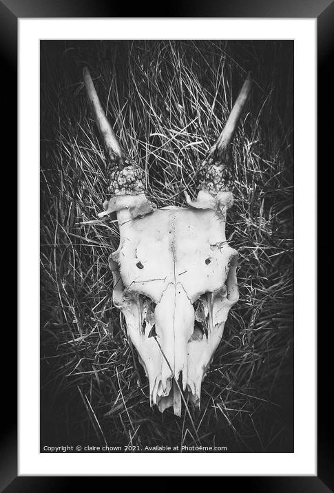 Deer Skull Framed Mounted Print by claire chown