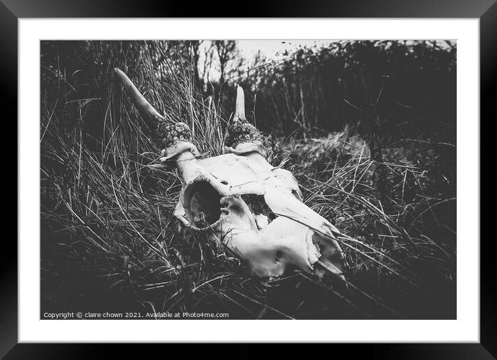 Deer Skull II Framed Mounted Print by claire chown