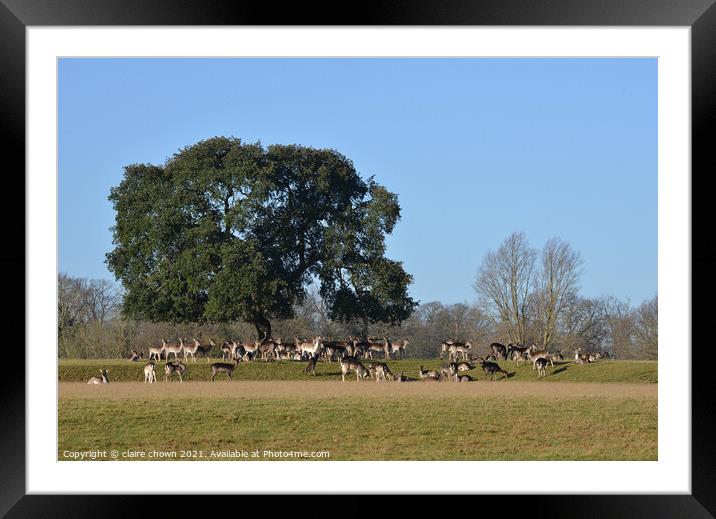 The Manor Framed Mounted Print by claire chown