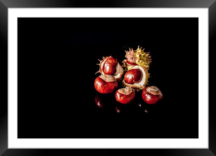 Conkers in reflection Framed Mounted Print by Richard Perks