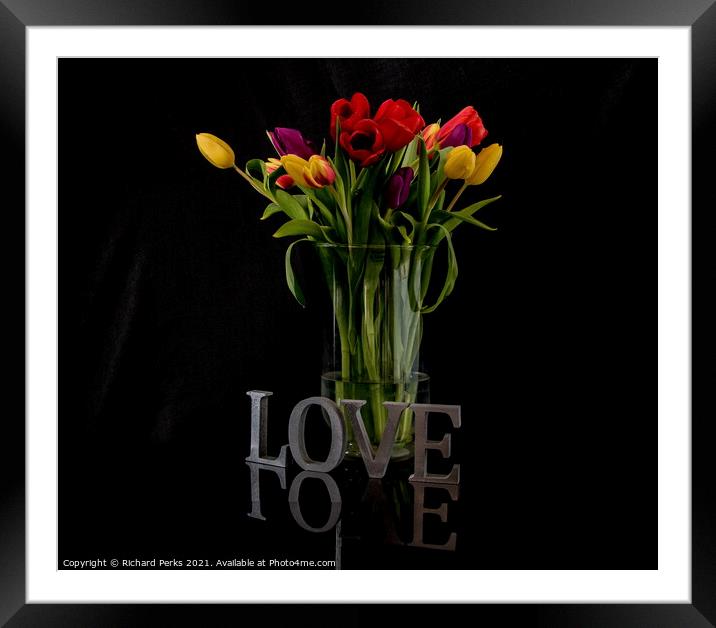 Tulips of Love Framed Mounted Print by Richard Perks