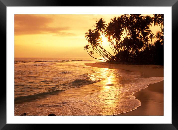 SRI LANKA HIKKADUWA BEACH Framed Mounted Print by urs flueeler