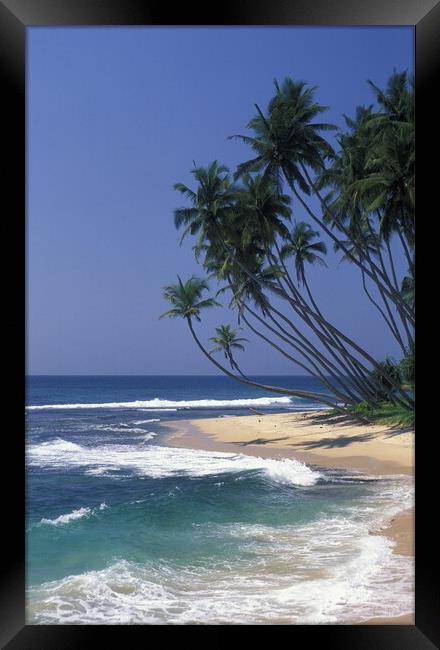 SRI LANKA HIKKADUWA BEACH Framed Print by urs flueeler