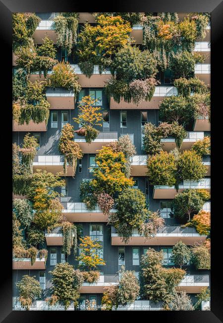 Bosco Verticale, Urban Forest In Milan Framed Print by Radu Bercan