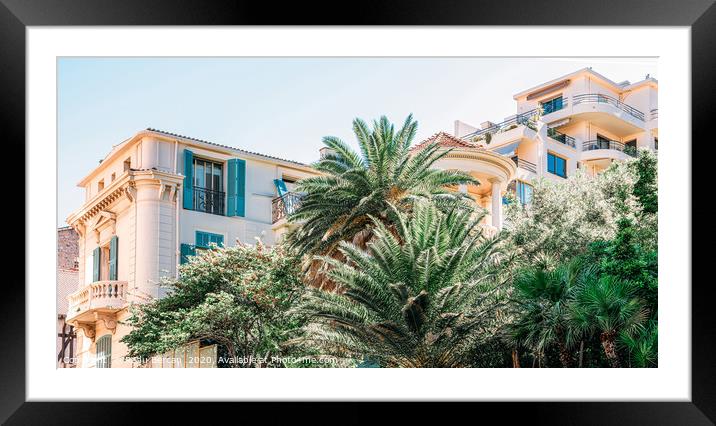Palm Trees, Cannes City, French Riviera Framed Mounted Print by Radu Bercan