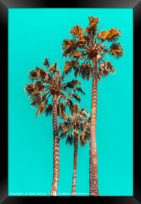 Palm Spring Trees, Summer Vibes, California Beach Framed Print by Radu Bercan