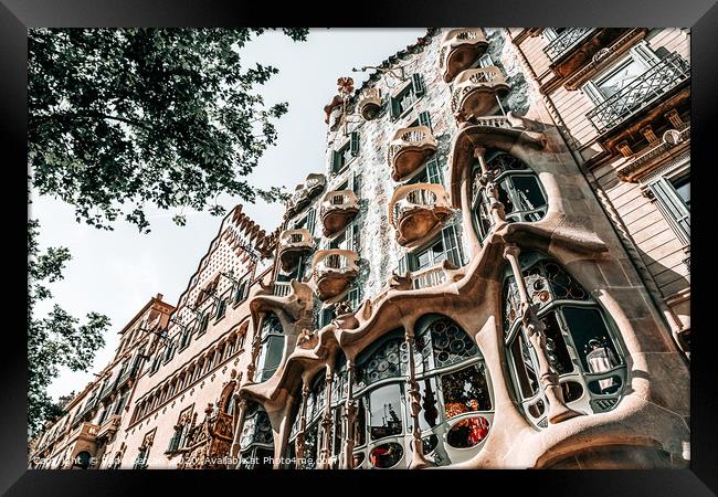 Casa Batllo, Barcelona Architecture, Antoni Gaudi Framed Print by Radu Bercan