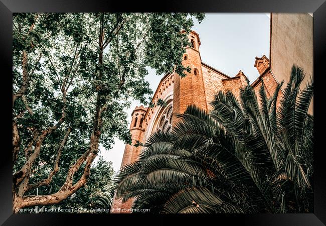 Palm Trees In Barcelona City, Spain Framed Print by Radu Bercan