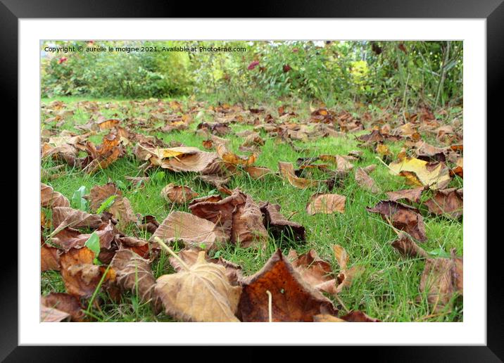 Dead leaves on grass Framed Mounted Print by aurélie le moigne