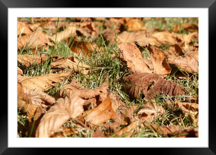 Dead leaves on grass Framed Mounted Print by aurélie le moigne
